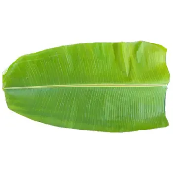 Bananaleaf Green 1-Piece India
