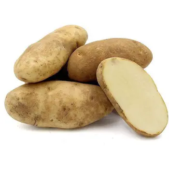Potato Idaho