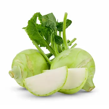 Kohlrabi Holland