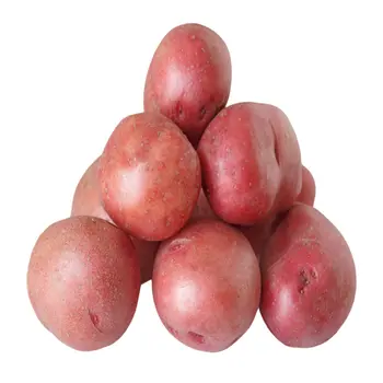 Small Red Potato