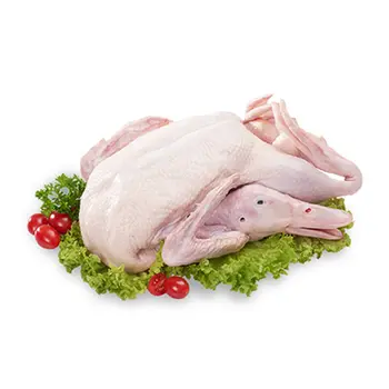 Fresh Duck Meat 1 Piece