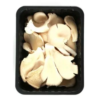 Oyster Mushroom Holland 150g