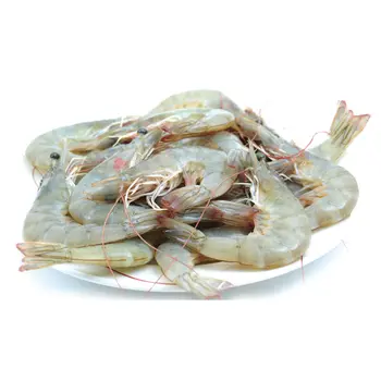 Sea Prawns White Uncleaned
