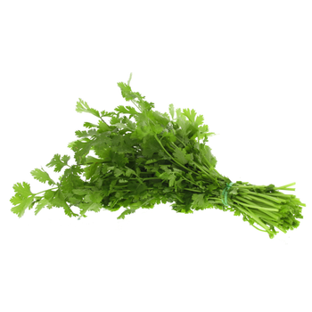 Fresh Coriander Leaves Bunch 1 Count
