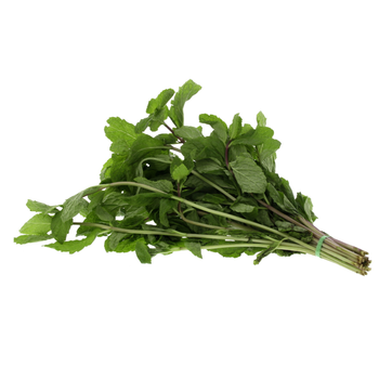 Fresh Mint Leaves Bunch 1 Count