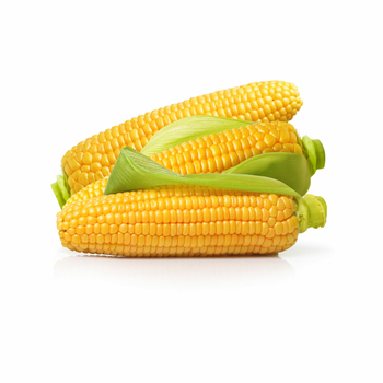 Sweet Corn 2 Pieces