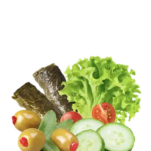 المحاشي و السلطات الفئة