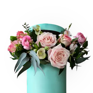 جميع المناسبات الفئة