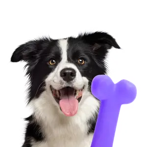 مستلزمات الكلاب الفئة