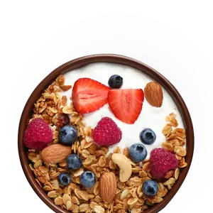 Healthy Food category