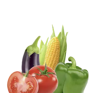 Vegetables category