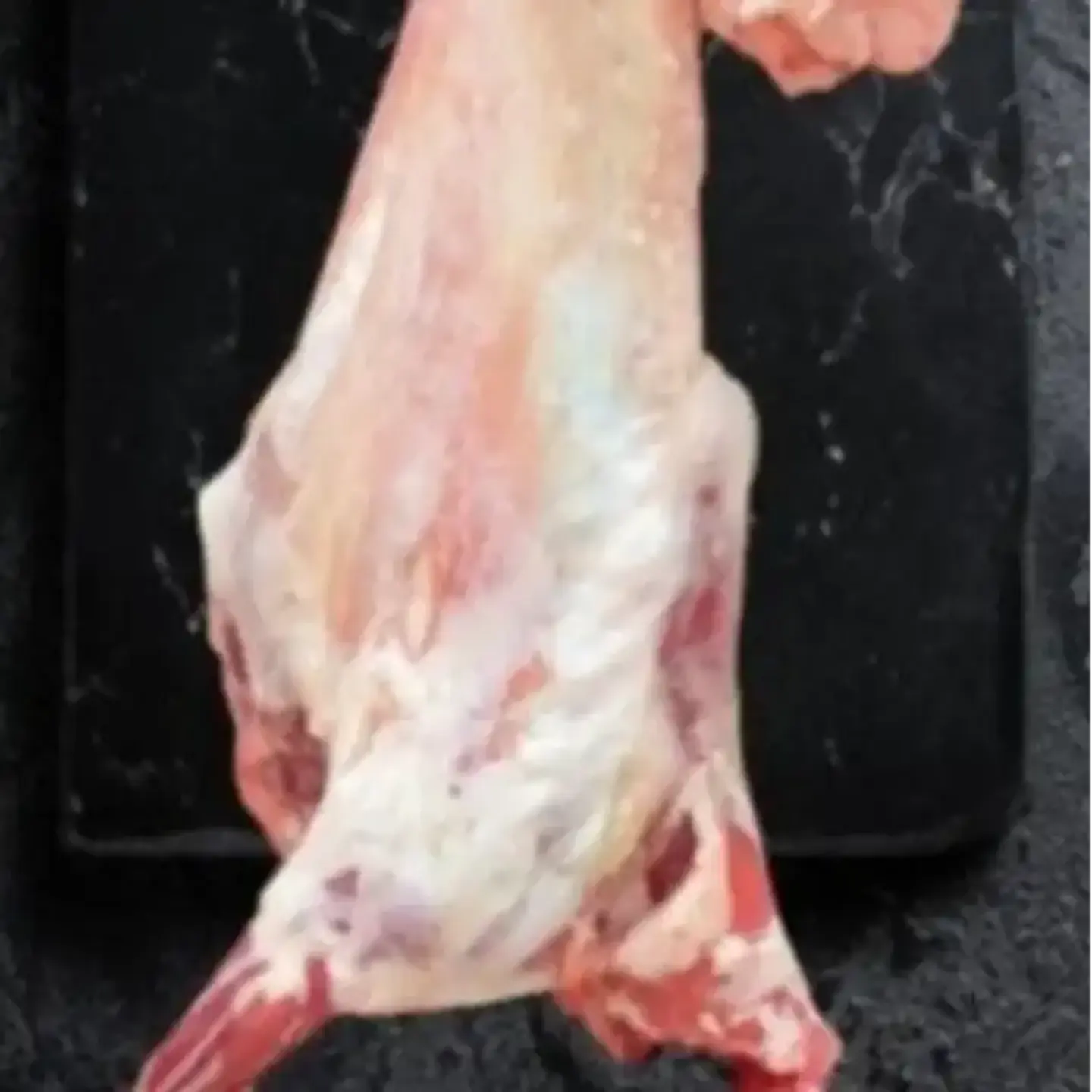 Carcass Cooking - Half