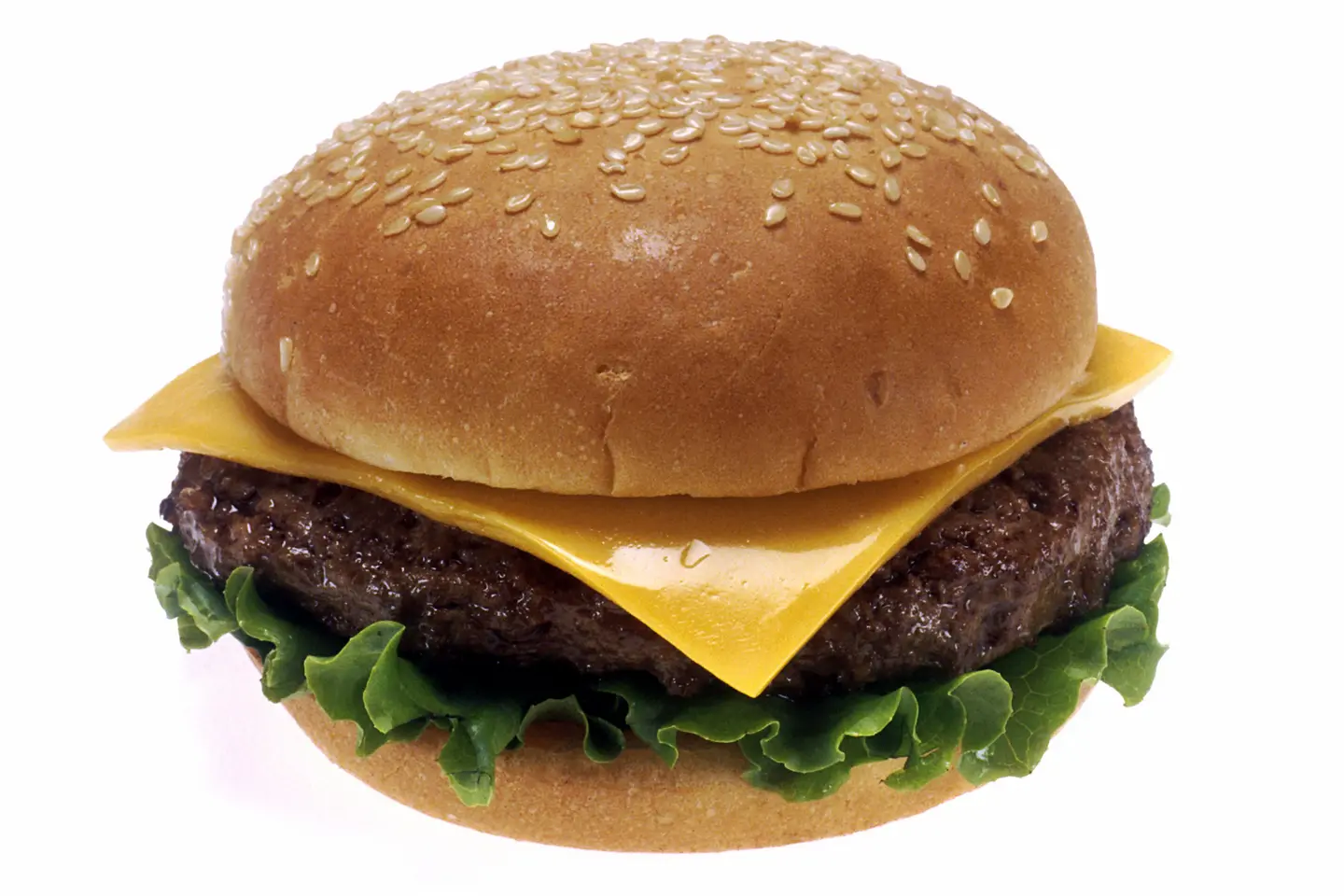 Meat Burger With Cheese