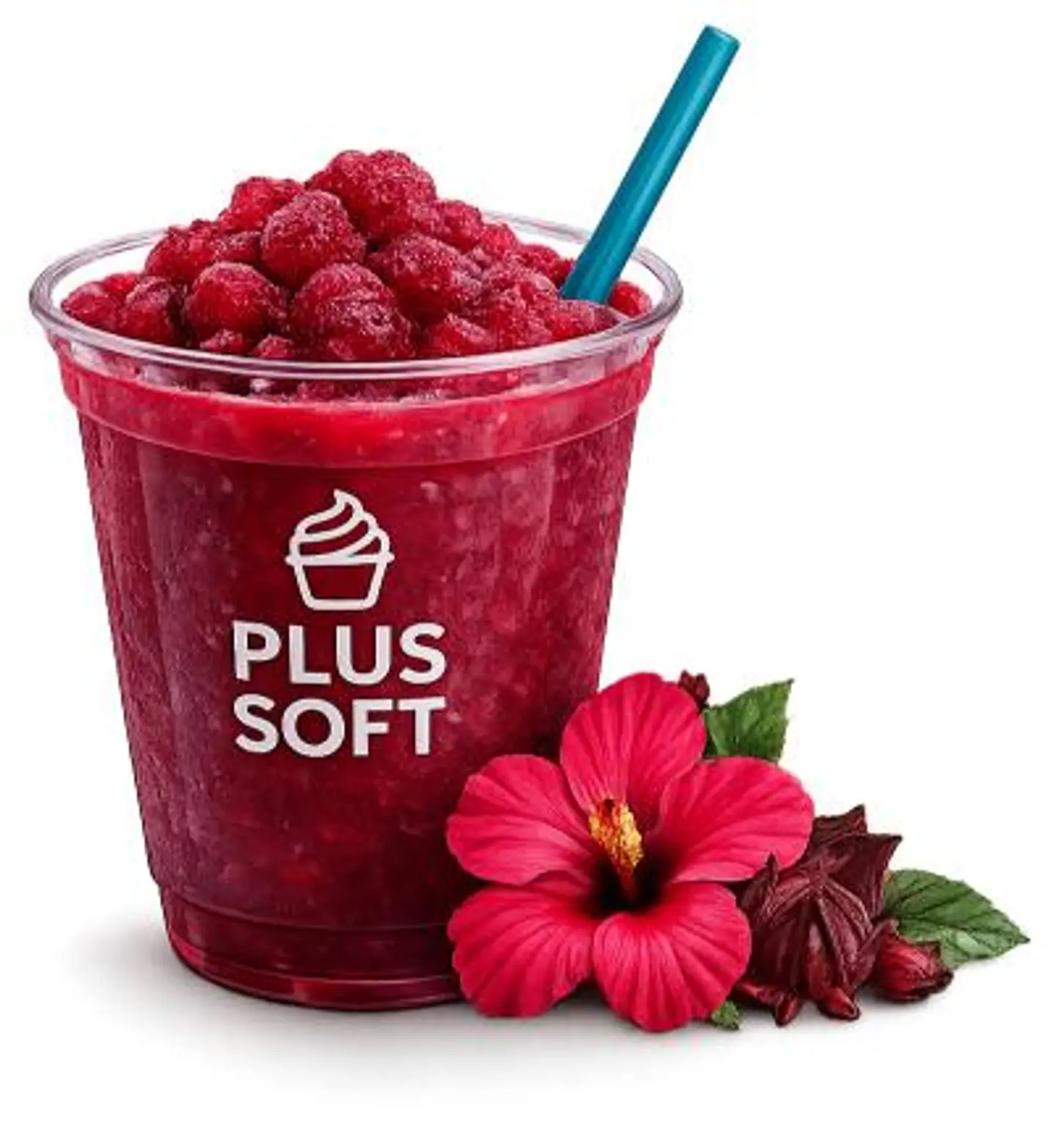 Hibiscus Slush