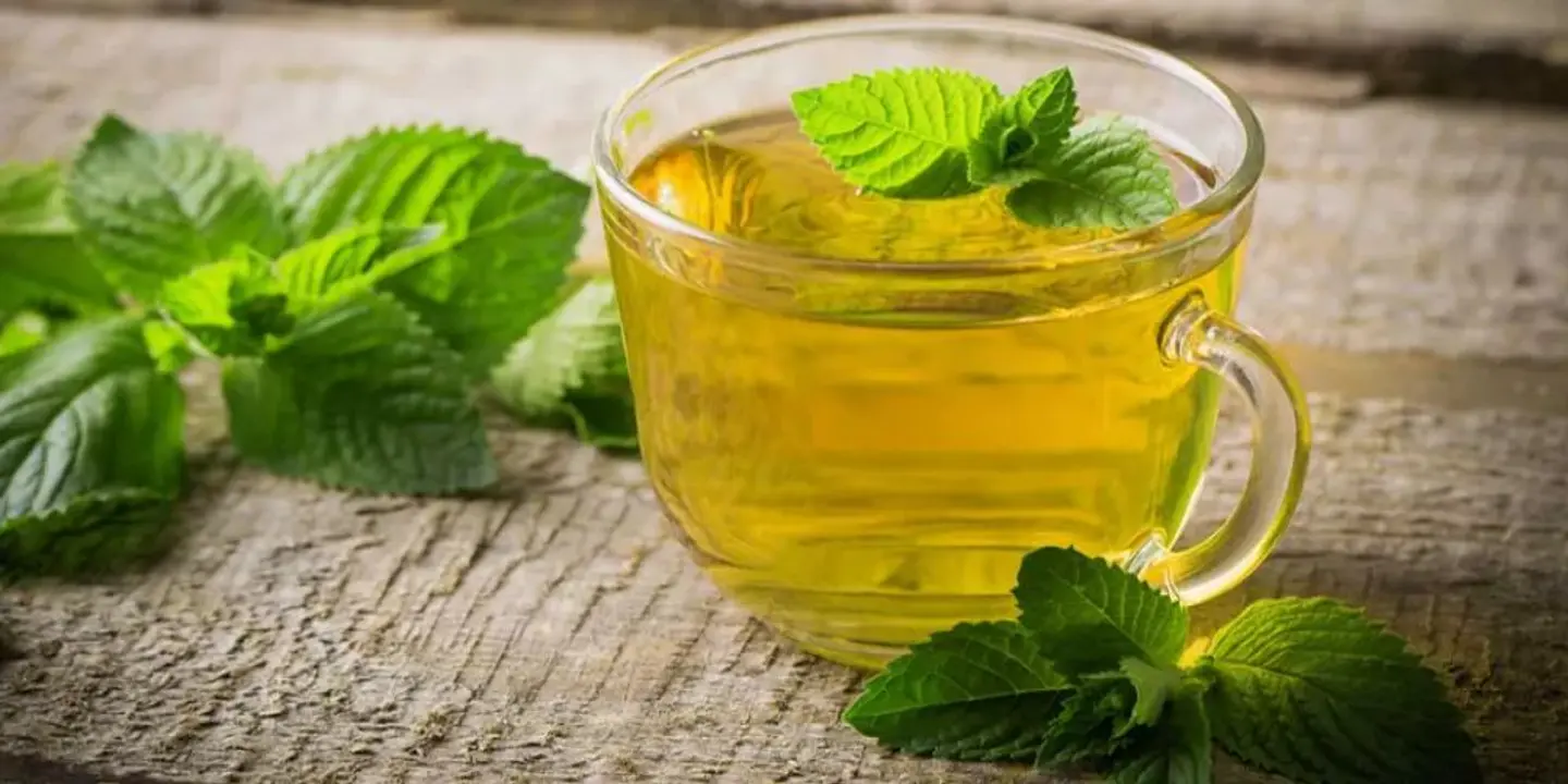 Green Tea Cup