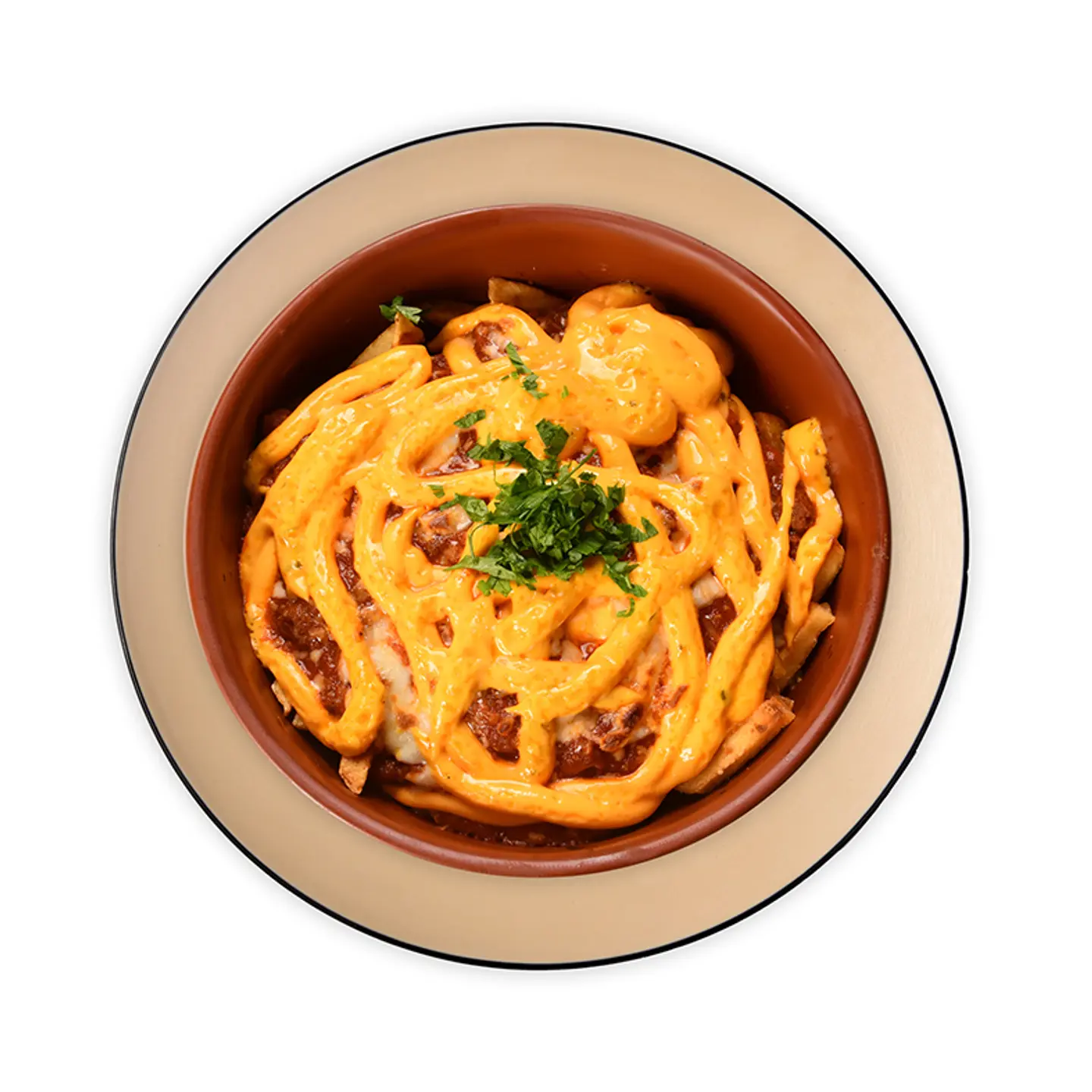Gastro Fries