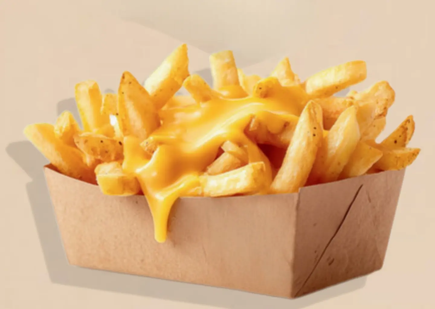 Fries With Cheese