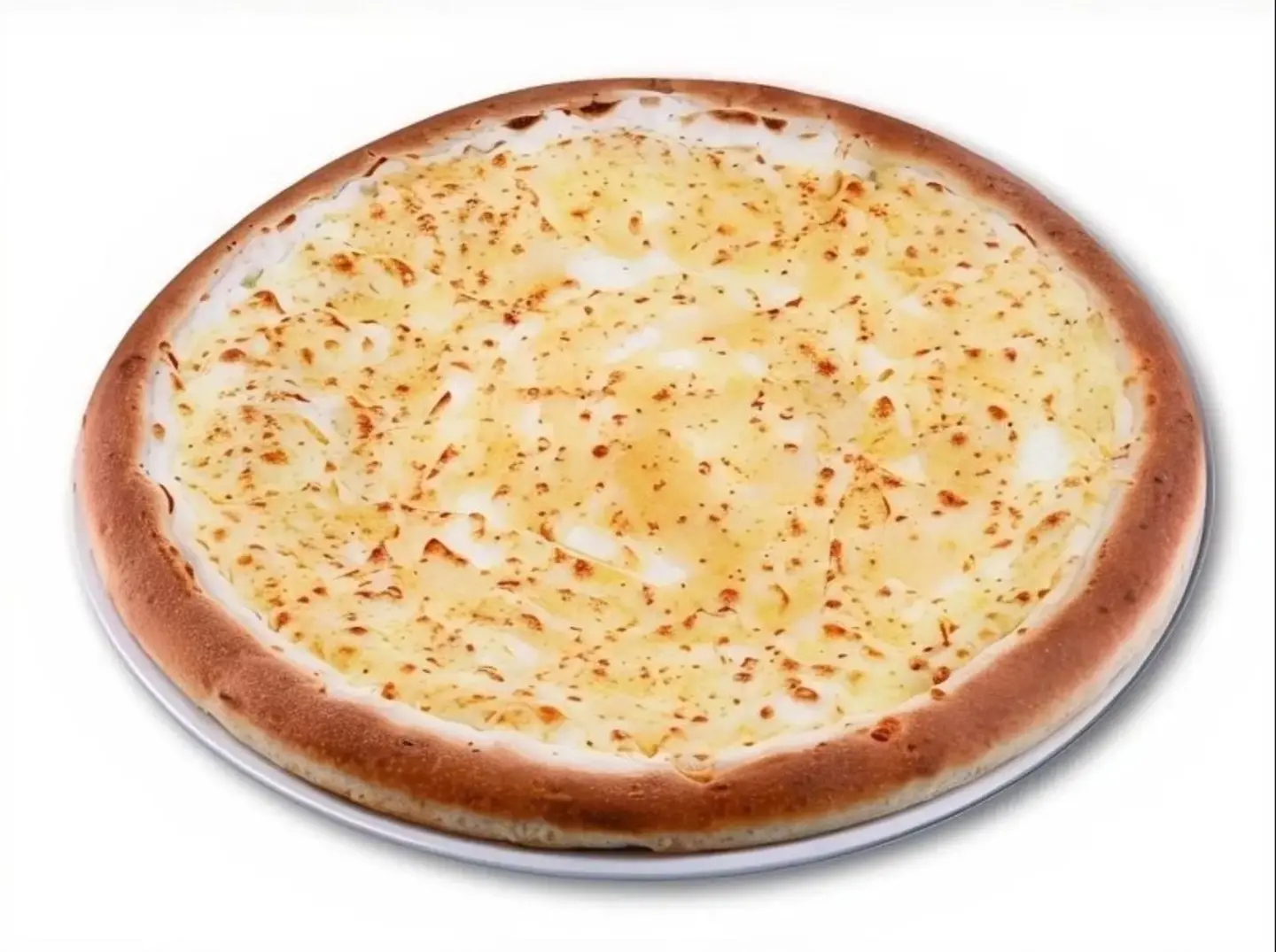 Ash Albulbul With Cheese - Medium
