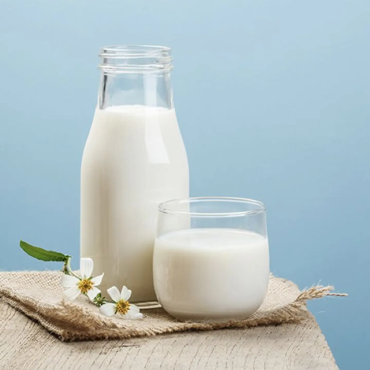 Milk - Small