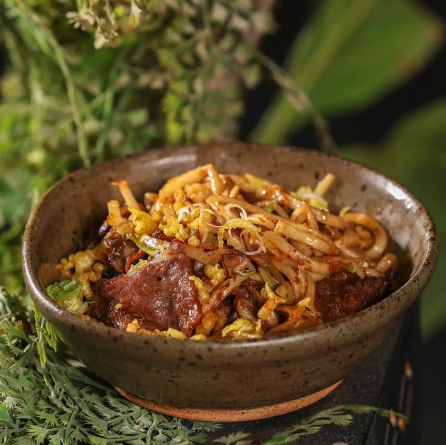 Beef Udon Noodles
