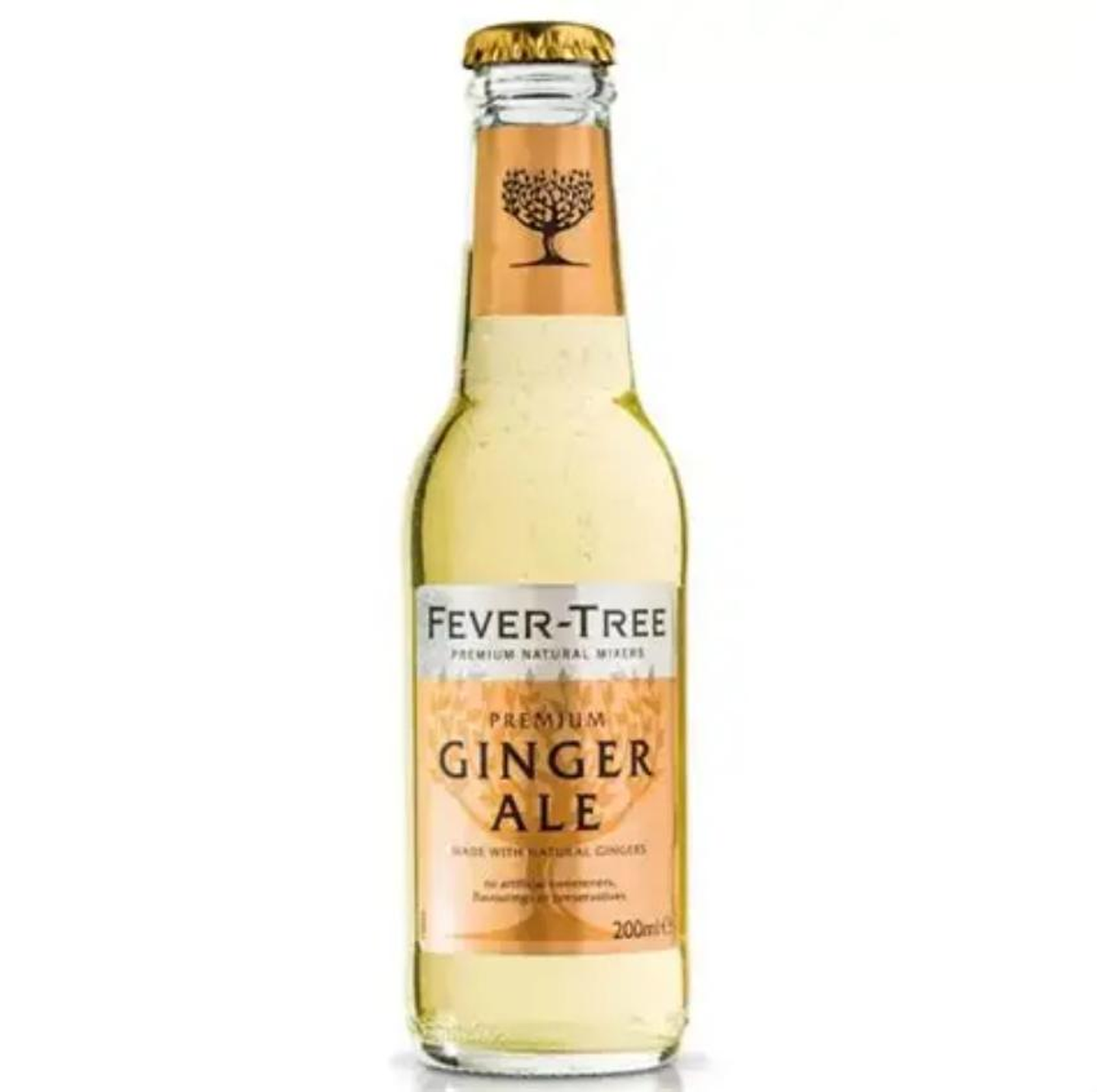 Ginger Ale 200ml