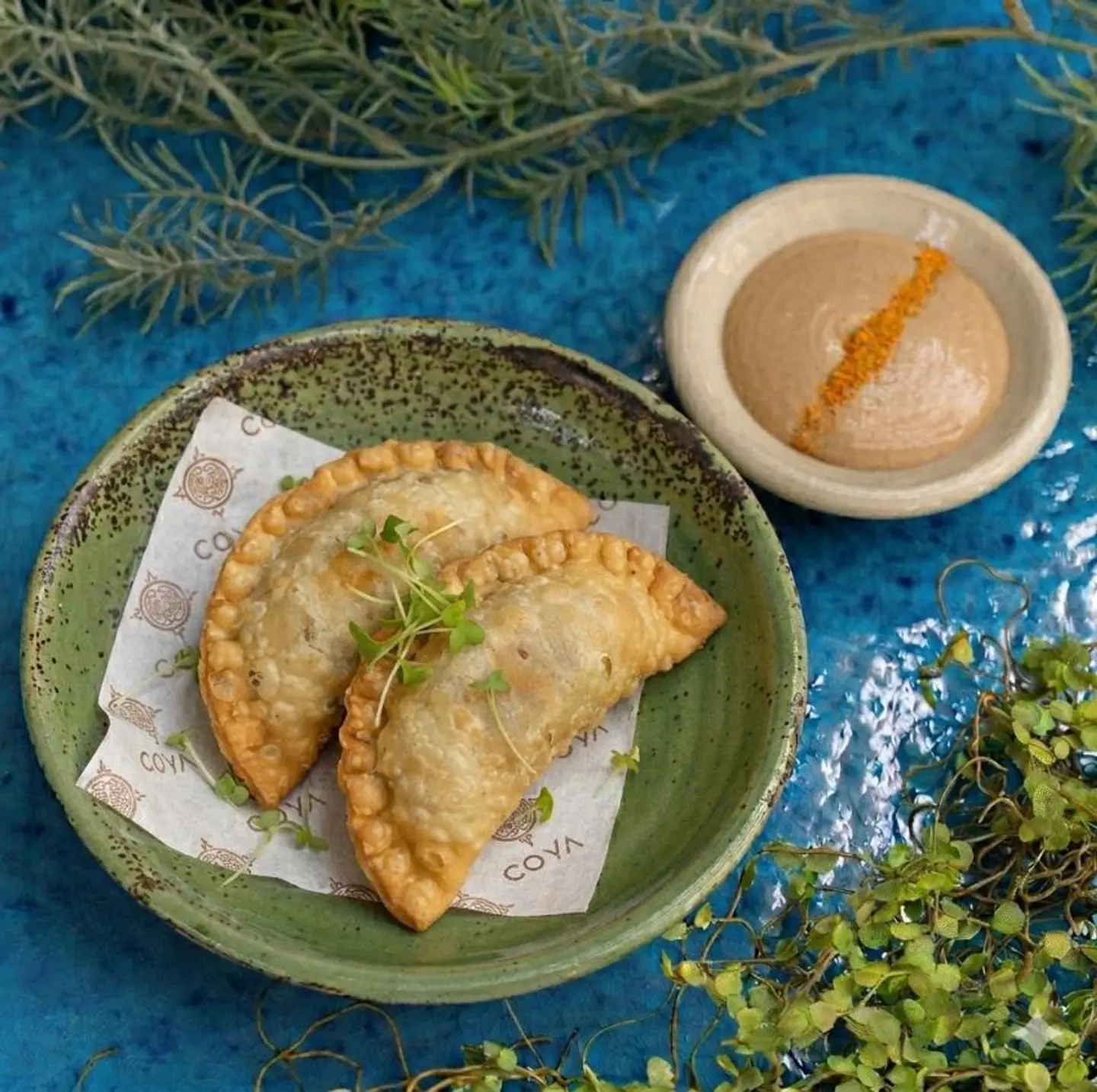 Chicken Empanadas