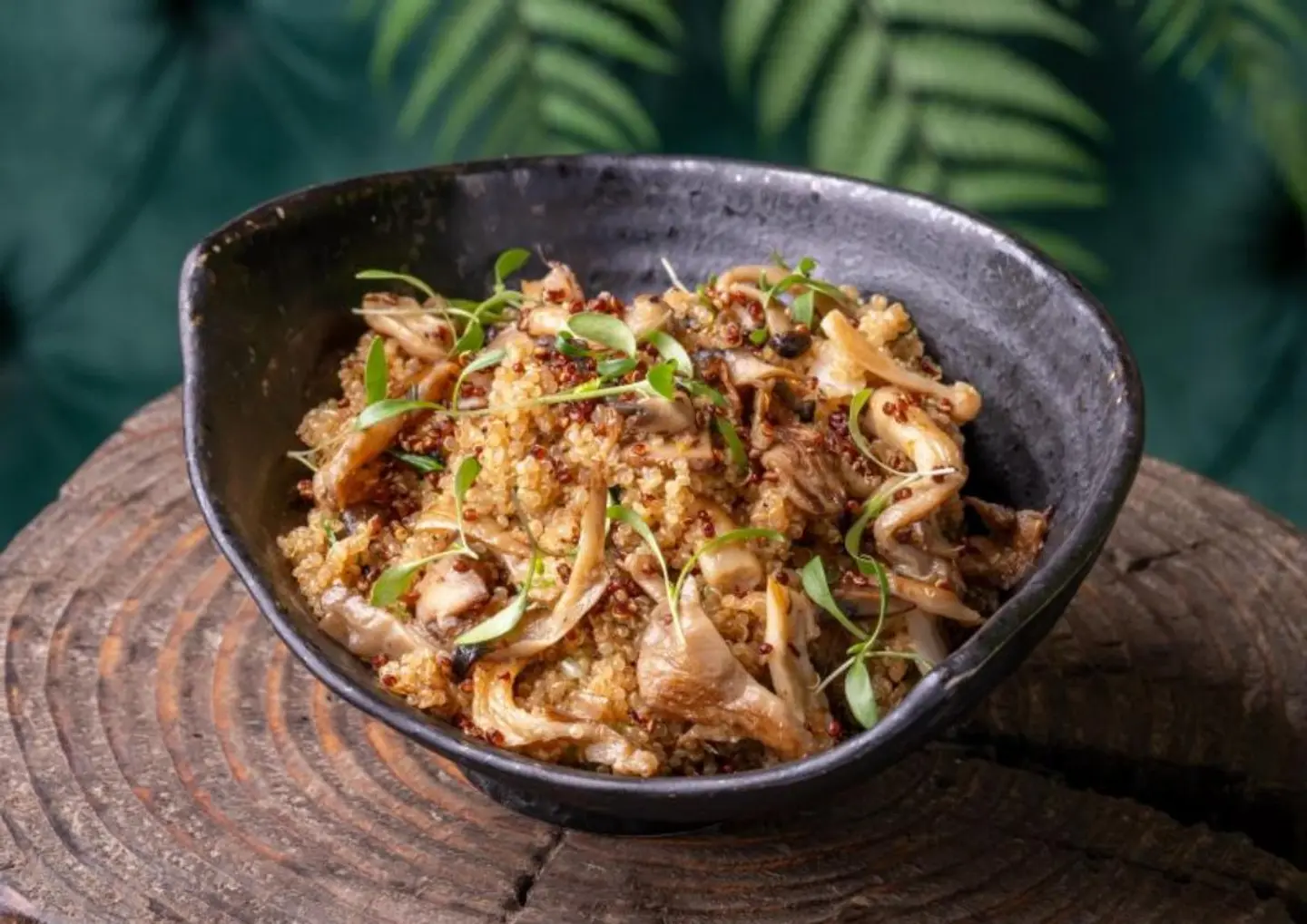 Quinoa & Mushrooms