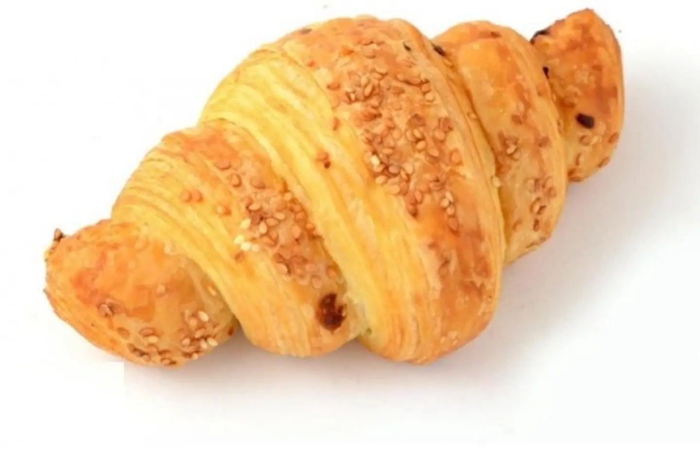 Cheese Croissant