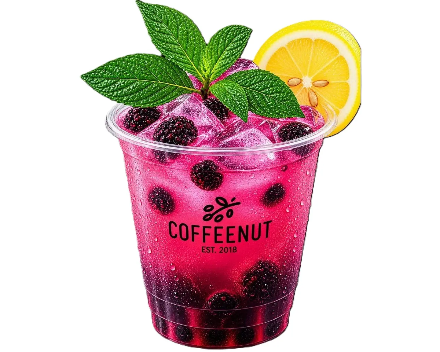 Blueberry Mojito