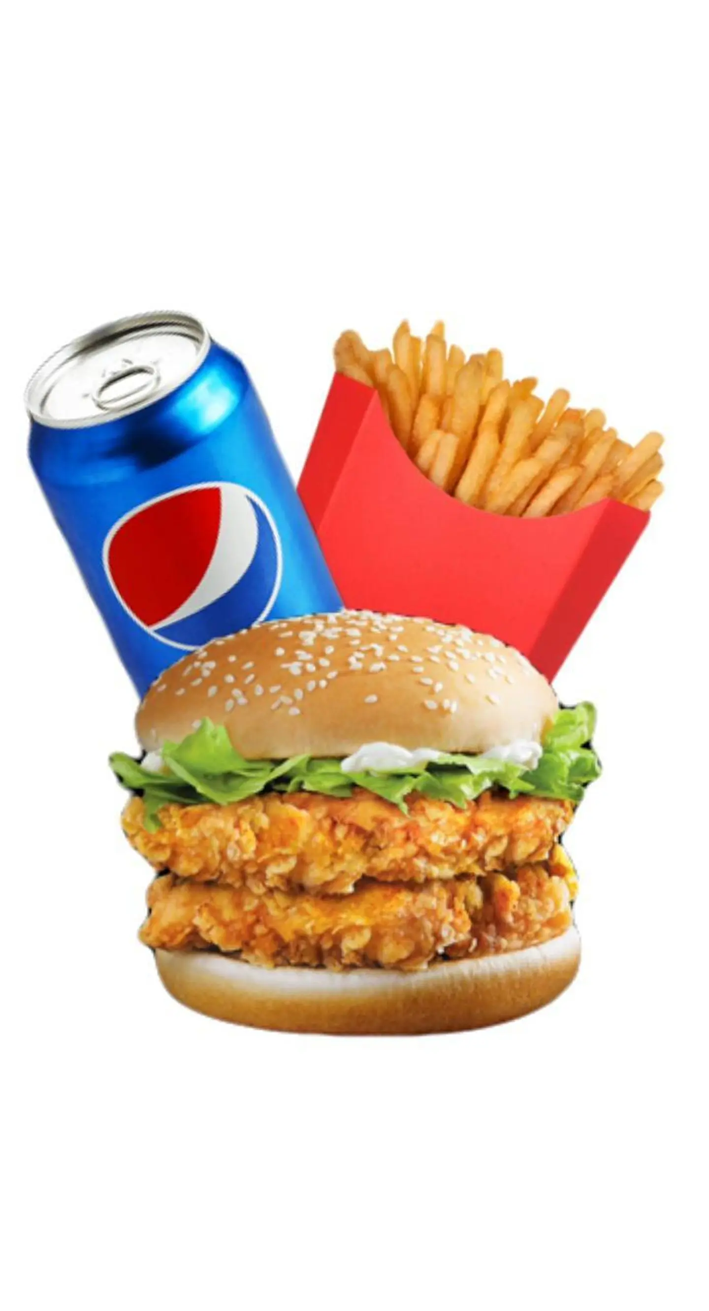 Fried Burger - Regular