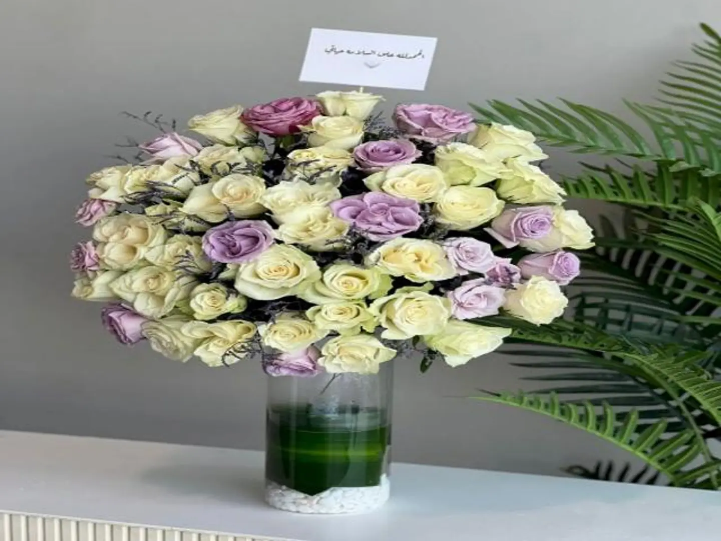 فازة جوري