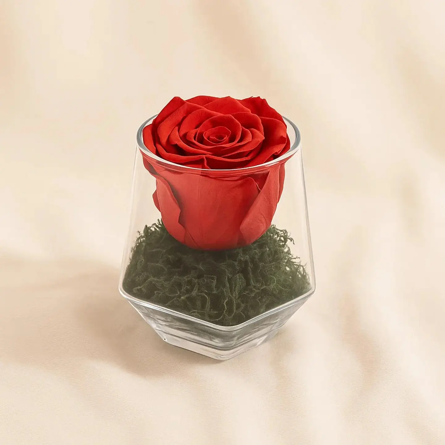 Eternal Charm Forever Red Rose Vase