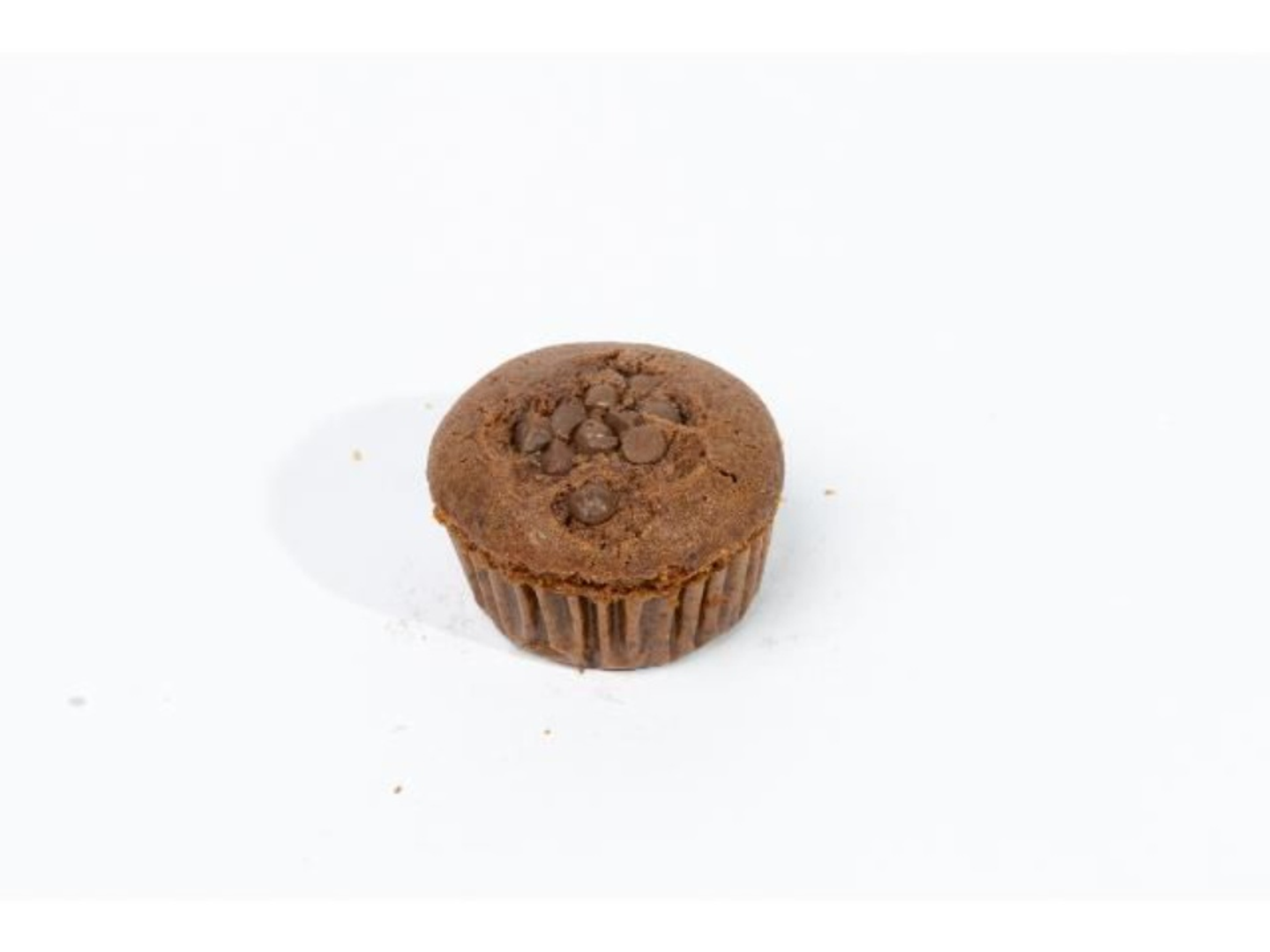 Chocolate Cupcake