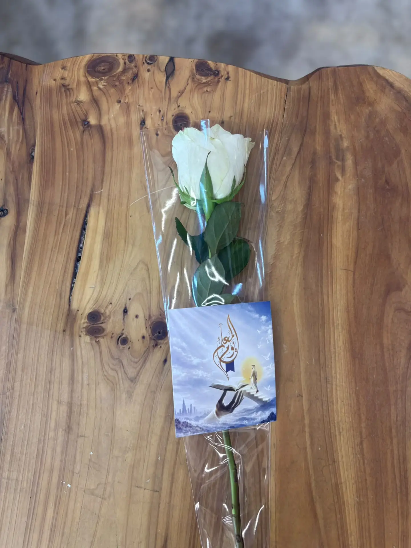 Teacher's Day Gift 2