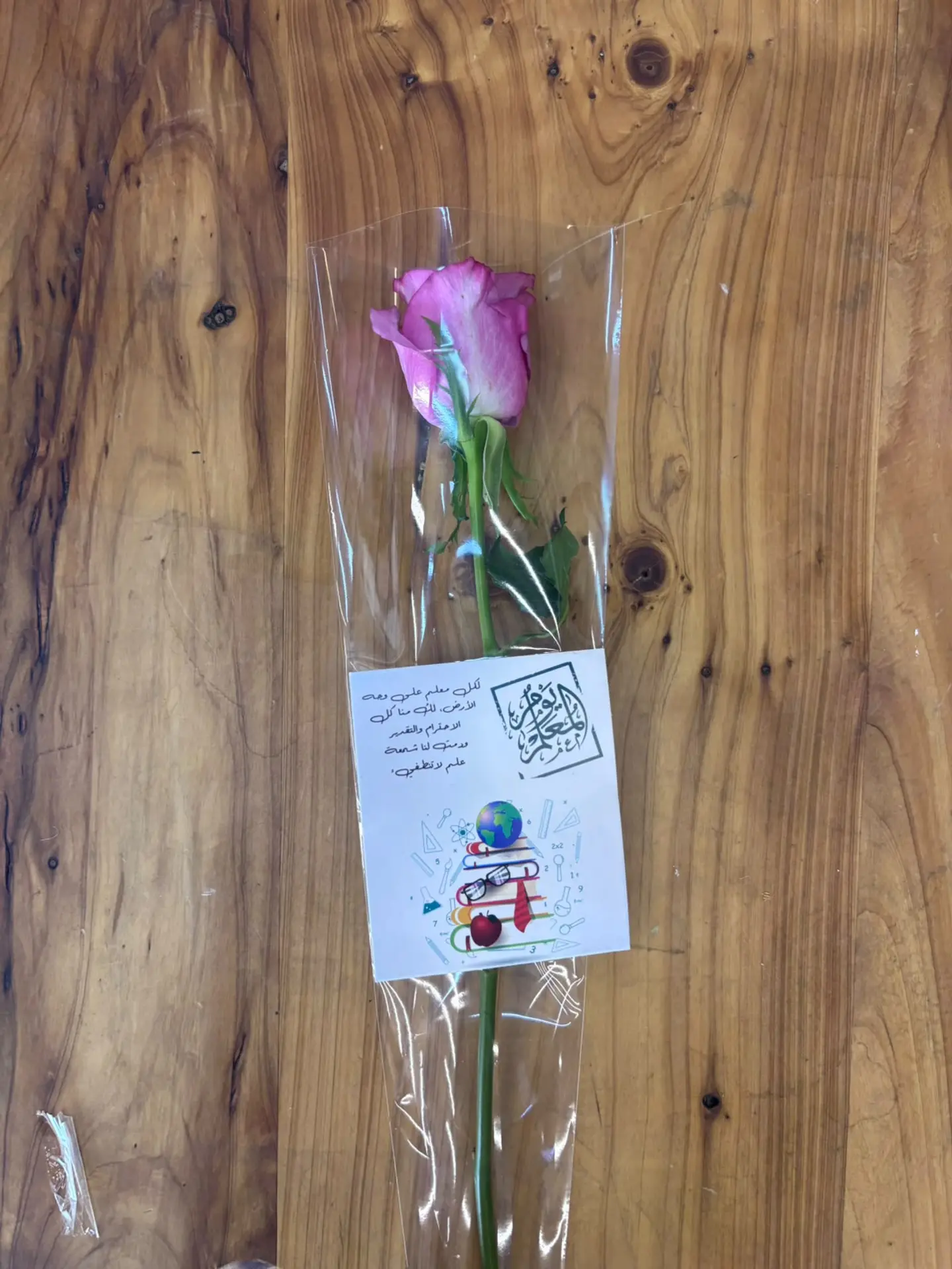 Teacher's Day Gift 5