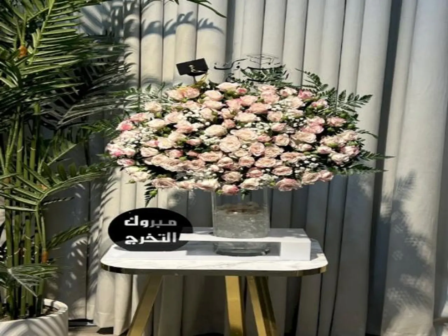 فازة بيبي روز مع ستاند تخرج