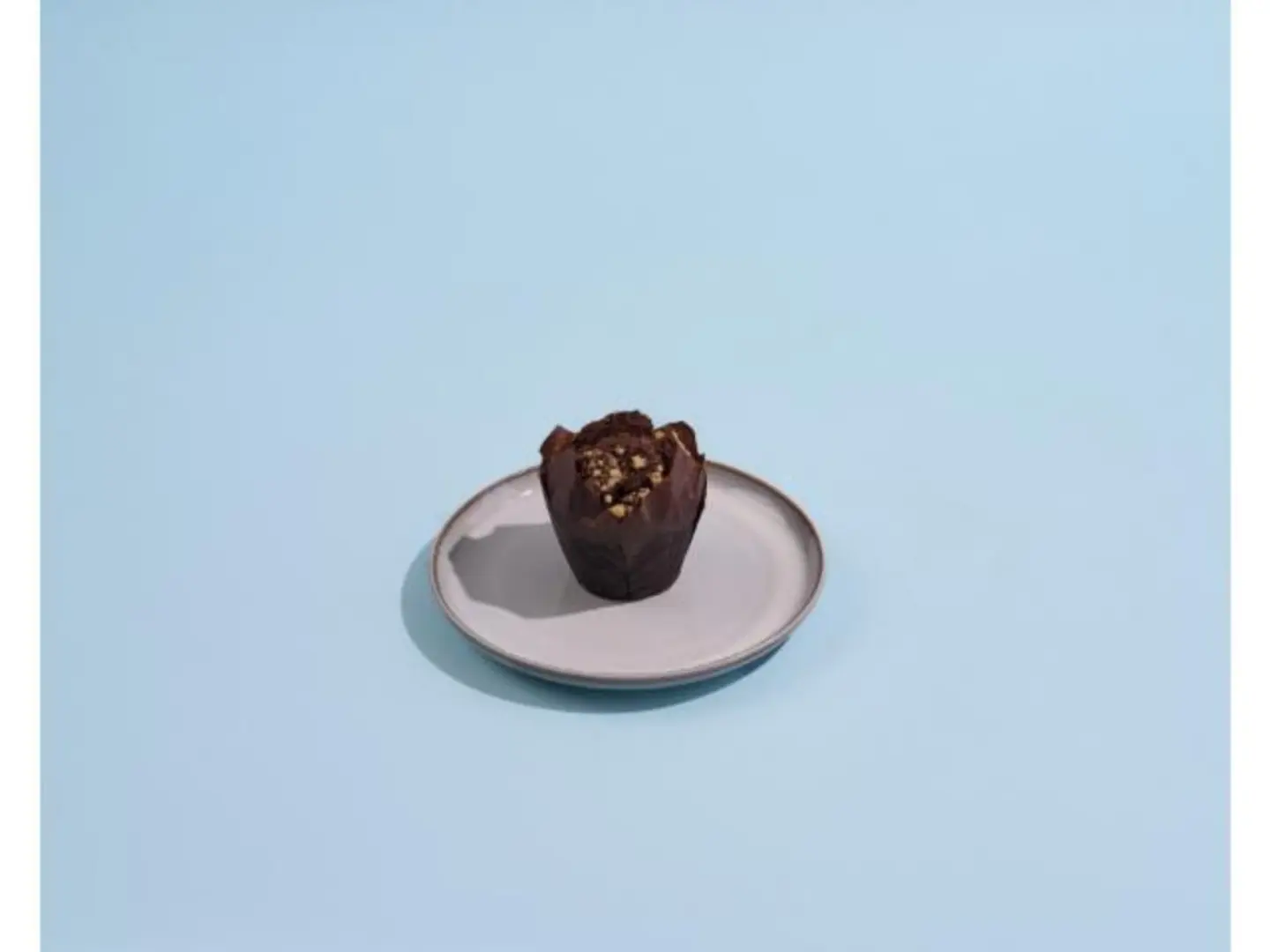 Chocolate Muffin