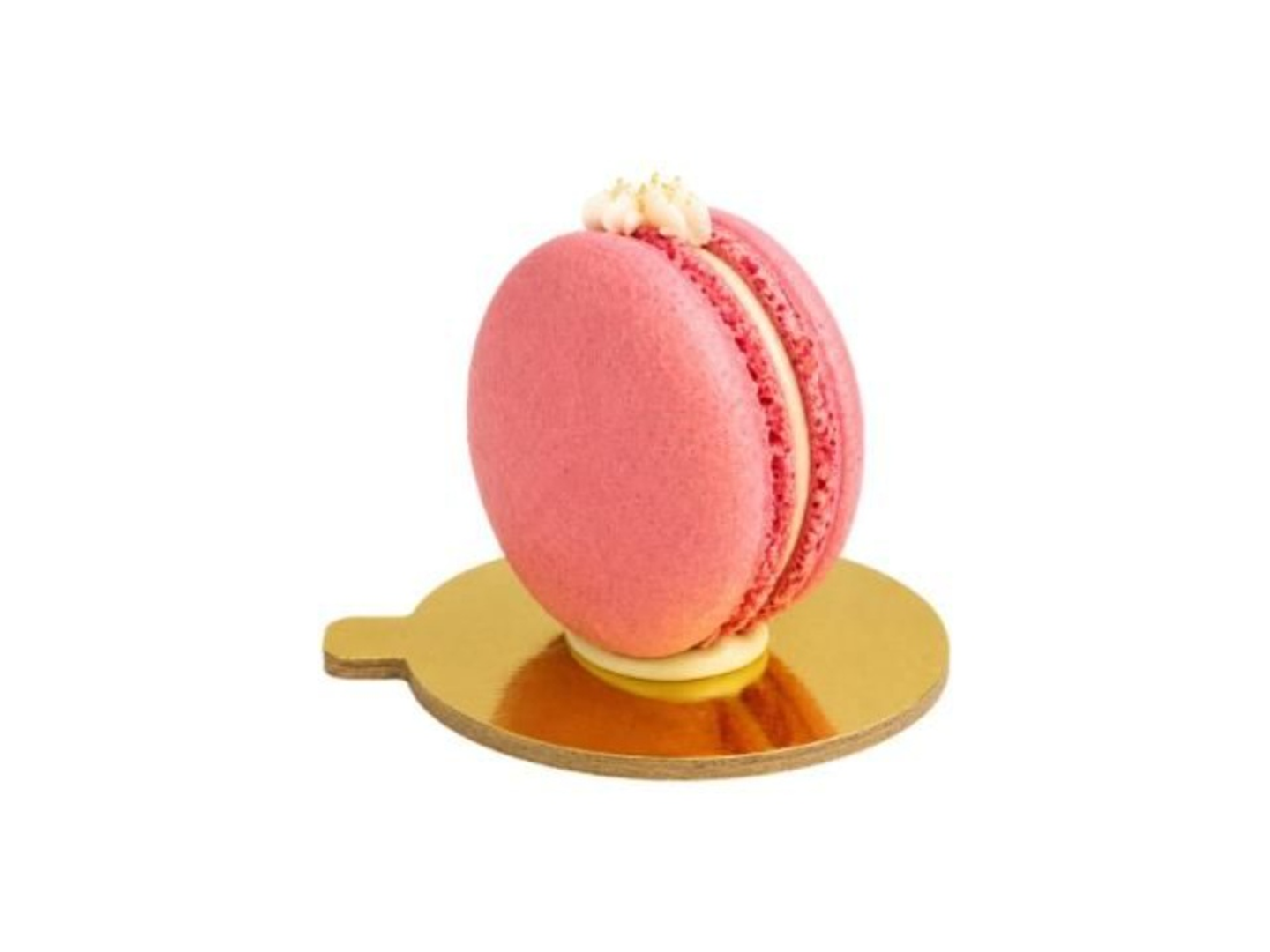 Red Berry Macaron