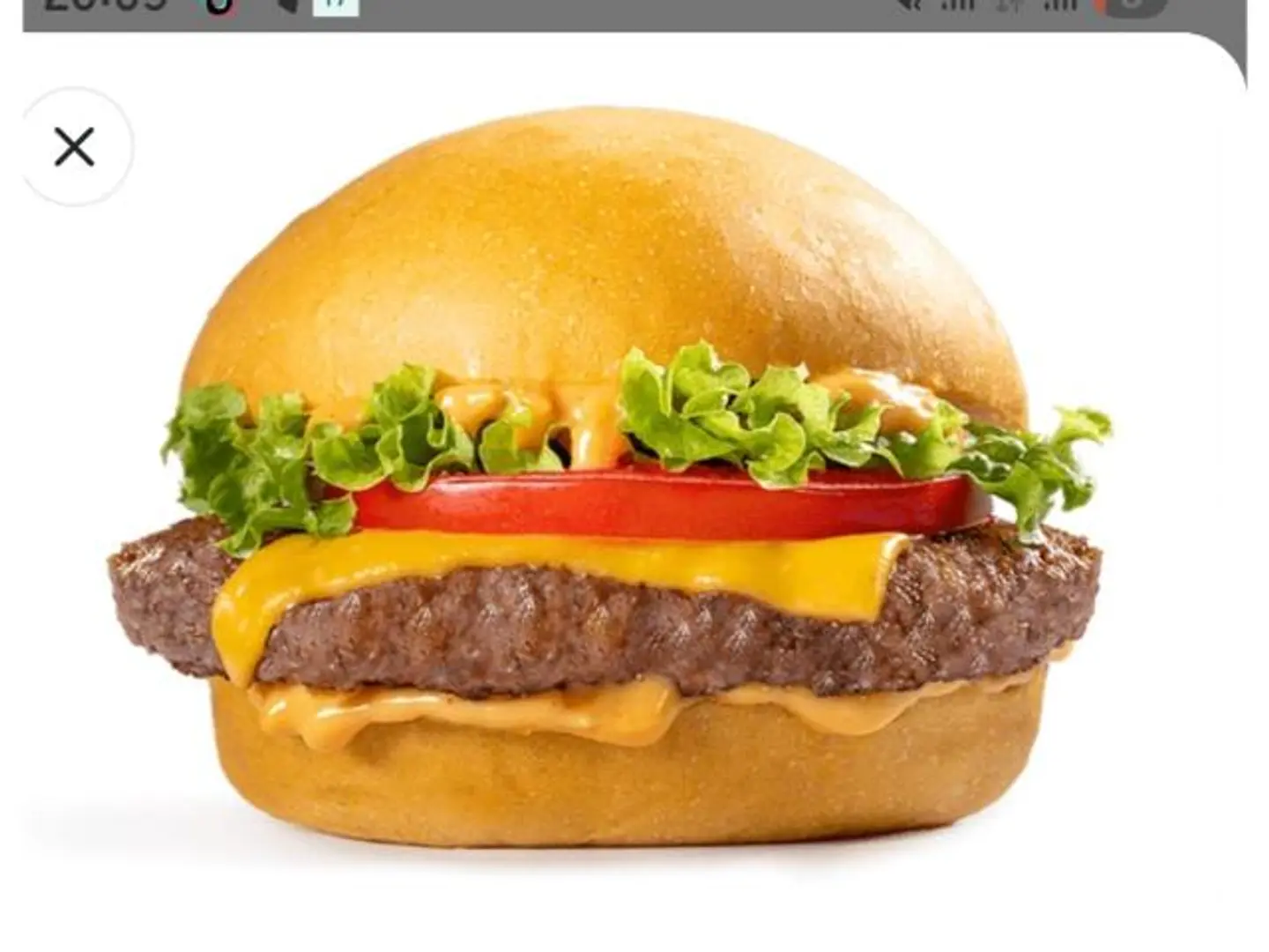Classic Beef Burger