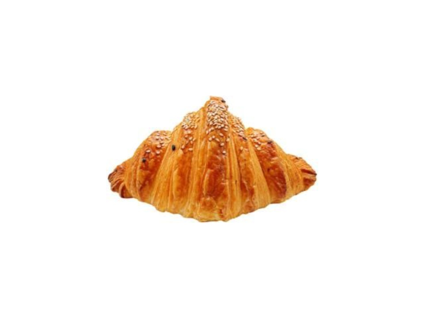 White Cheese Croissant