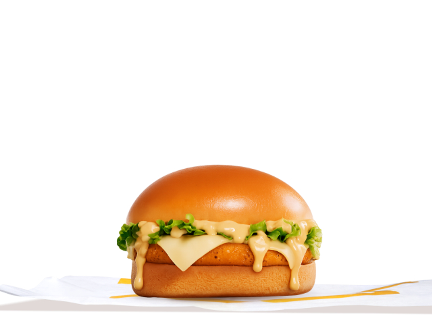Tasty Chicken Burger