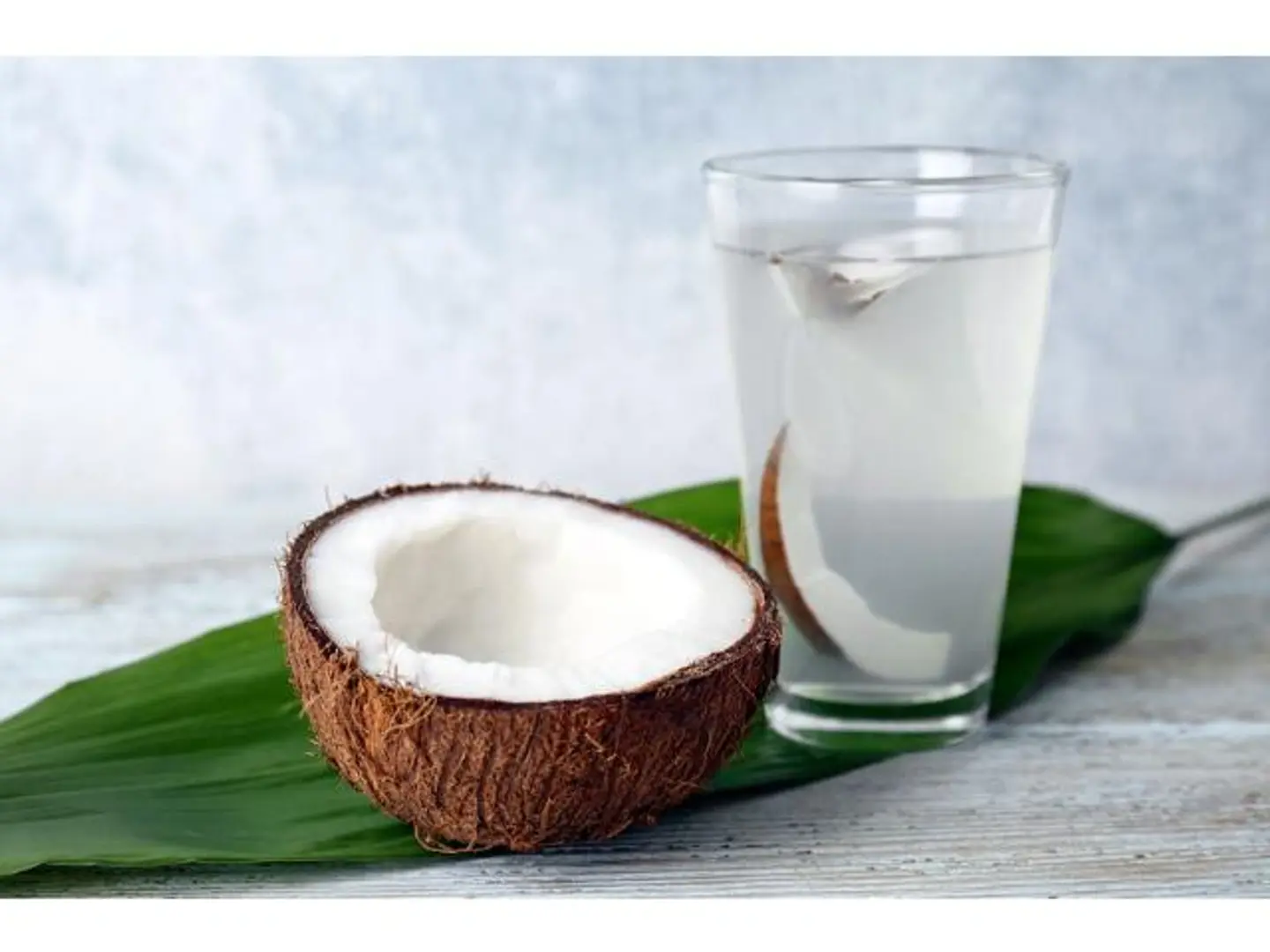 Coconut - Small