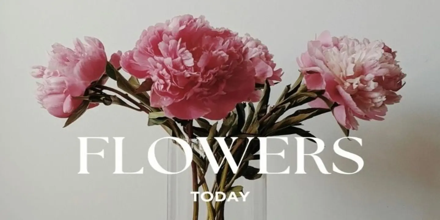 Anosh & Flower cover