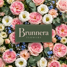 Brunnera logo