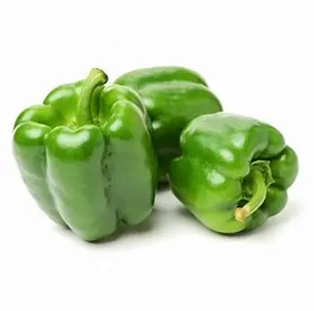 Gulf Fruit green Capsicum Local 1Kg