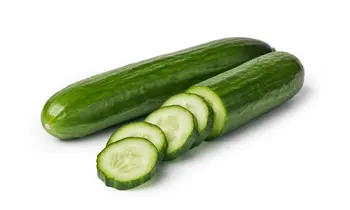 cucumber local 500 GM - Alsudayri