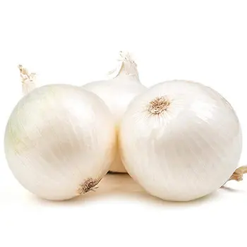 White Onion Loose