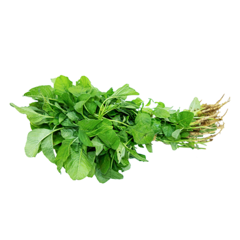 Fresh Green Spinach Bunch 1 Count