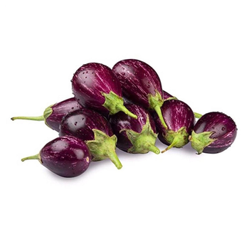 Purple Eggplant 500g