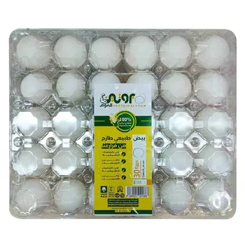 اليوم بيض بروتين كبير 30قطعة